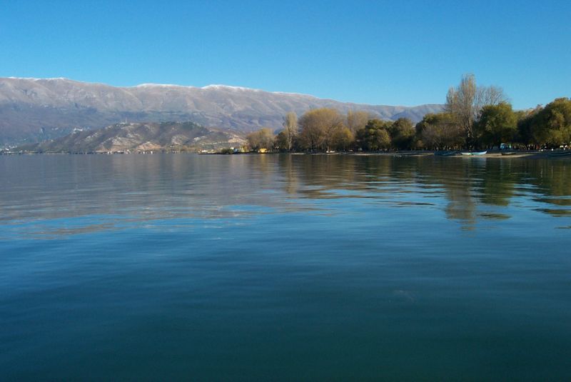 Environmental Services